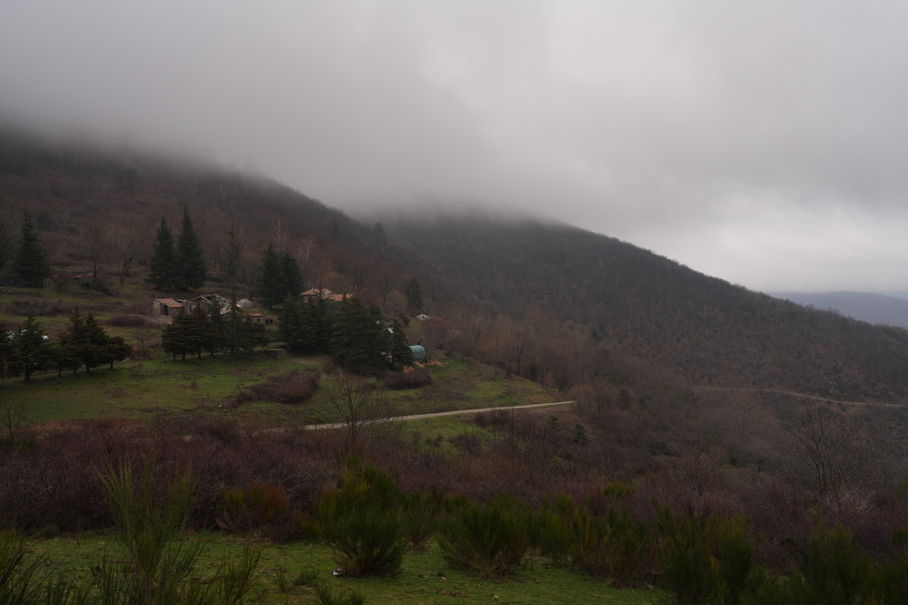 DSC07580